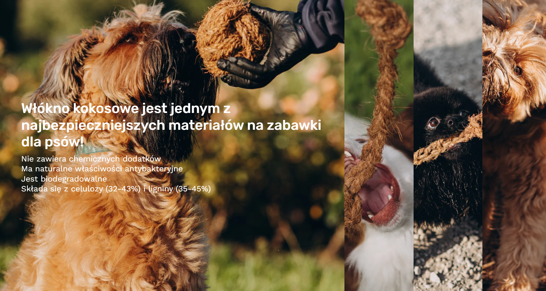 5.3 Sprzedaż mebli na Shopify