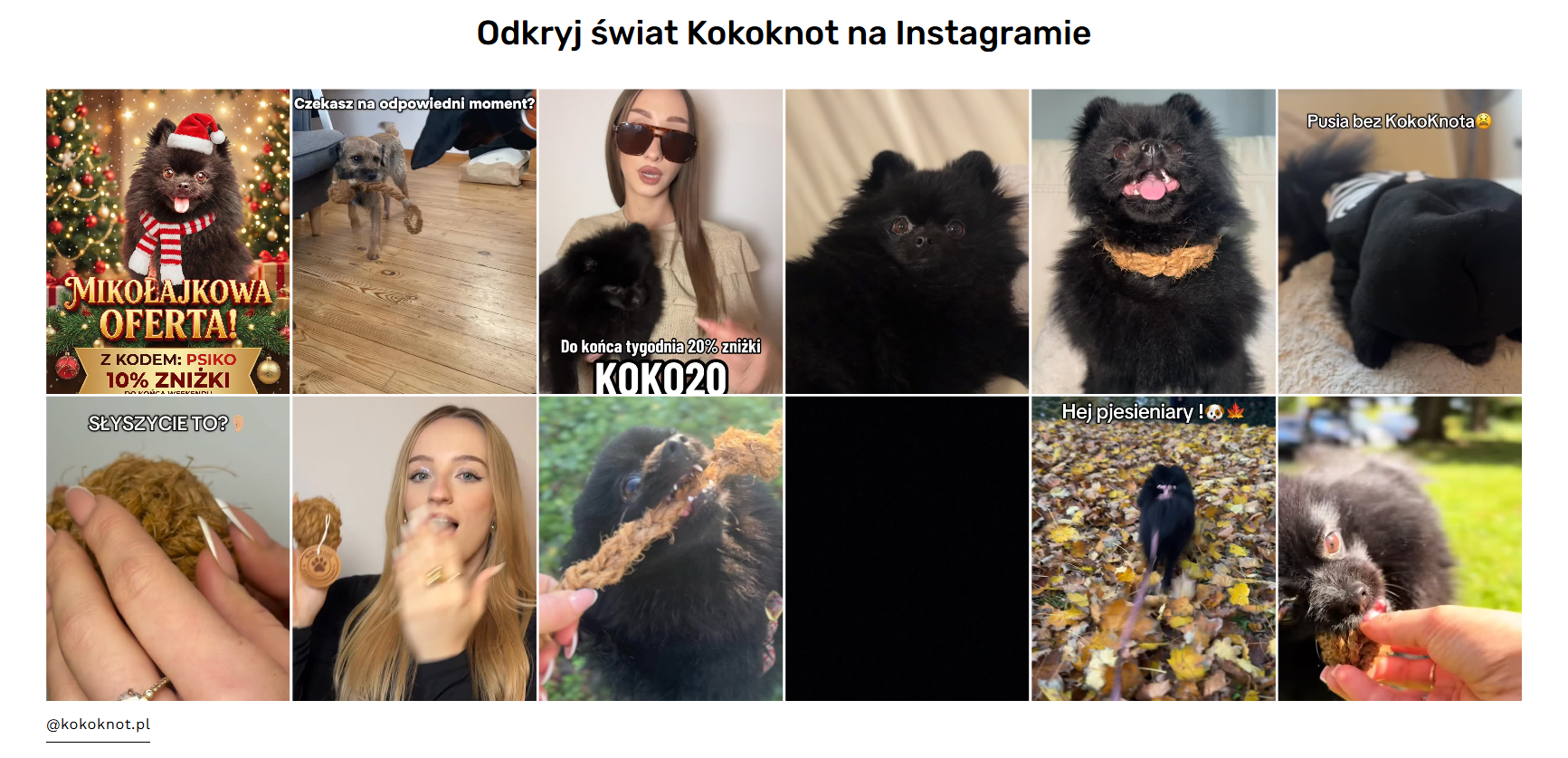 5.4 Sprzedaż mebli na Shopify